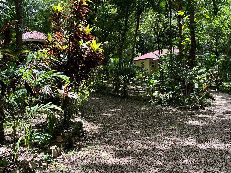 Photo of Outdoor in San Ignacio