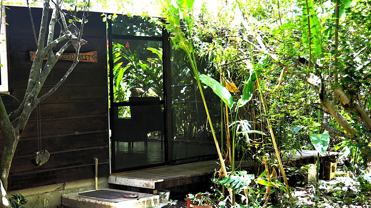 Photo of Outdoor in San Ignacio