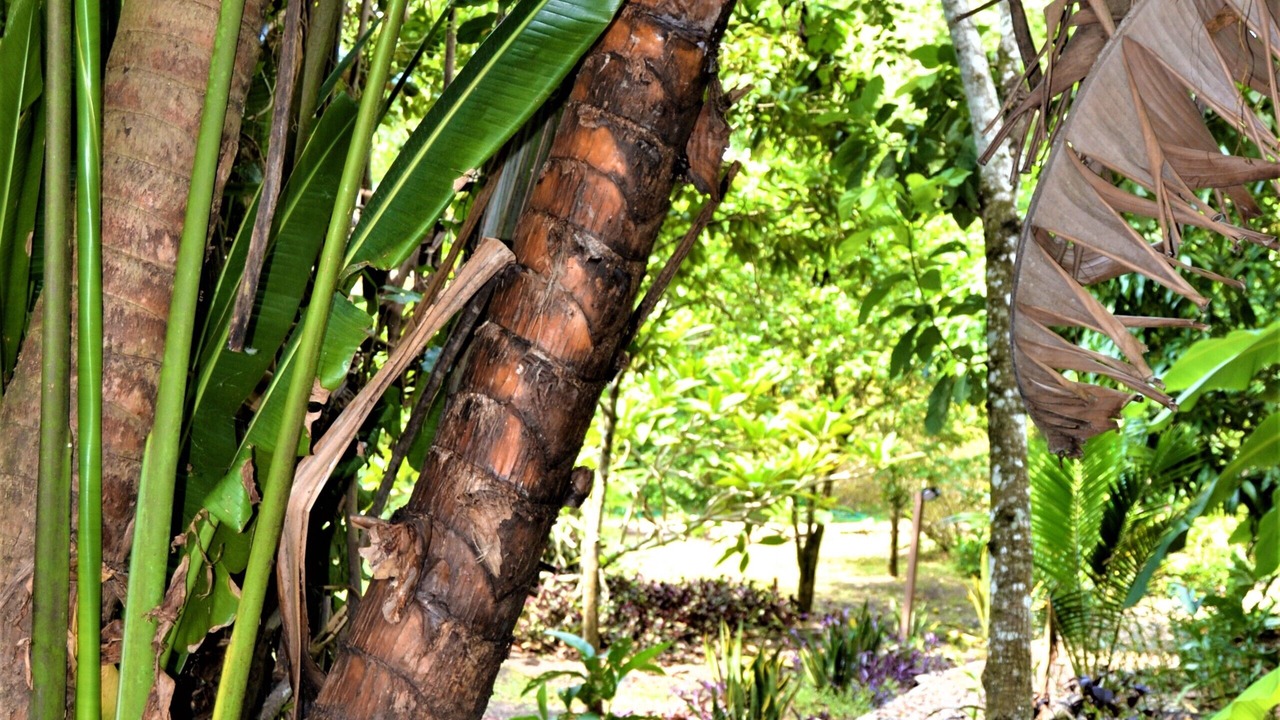 Photo of Outdoor in San Ignacio