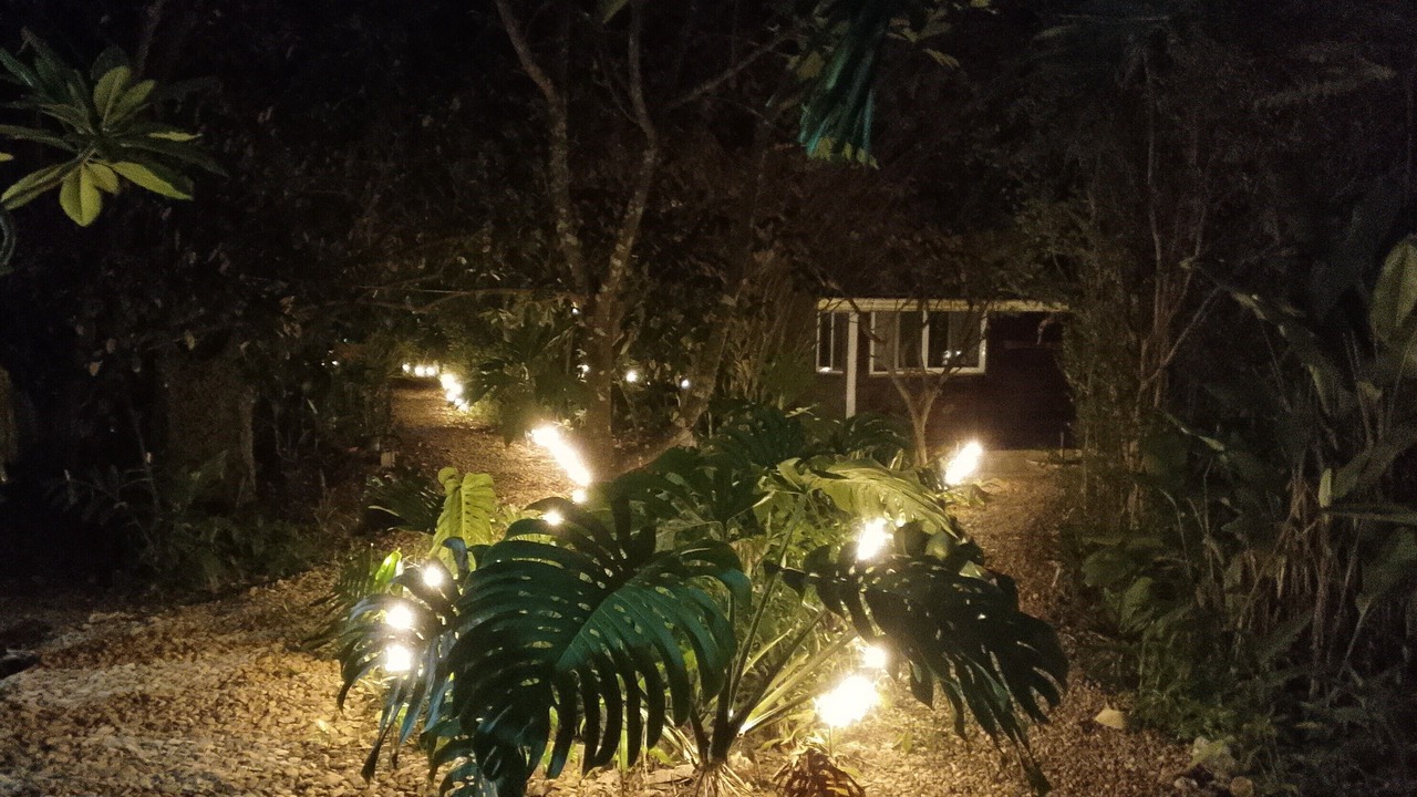 Photo of Outdoor in San Ignacio