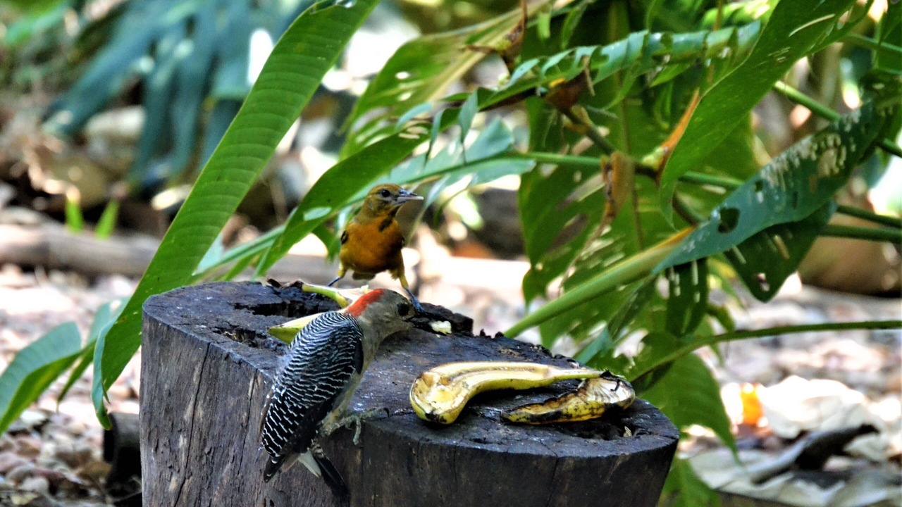 Photo of Others in San Ignacio