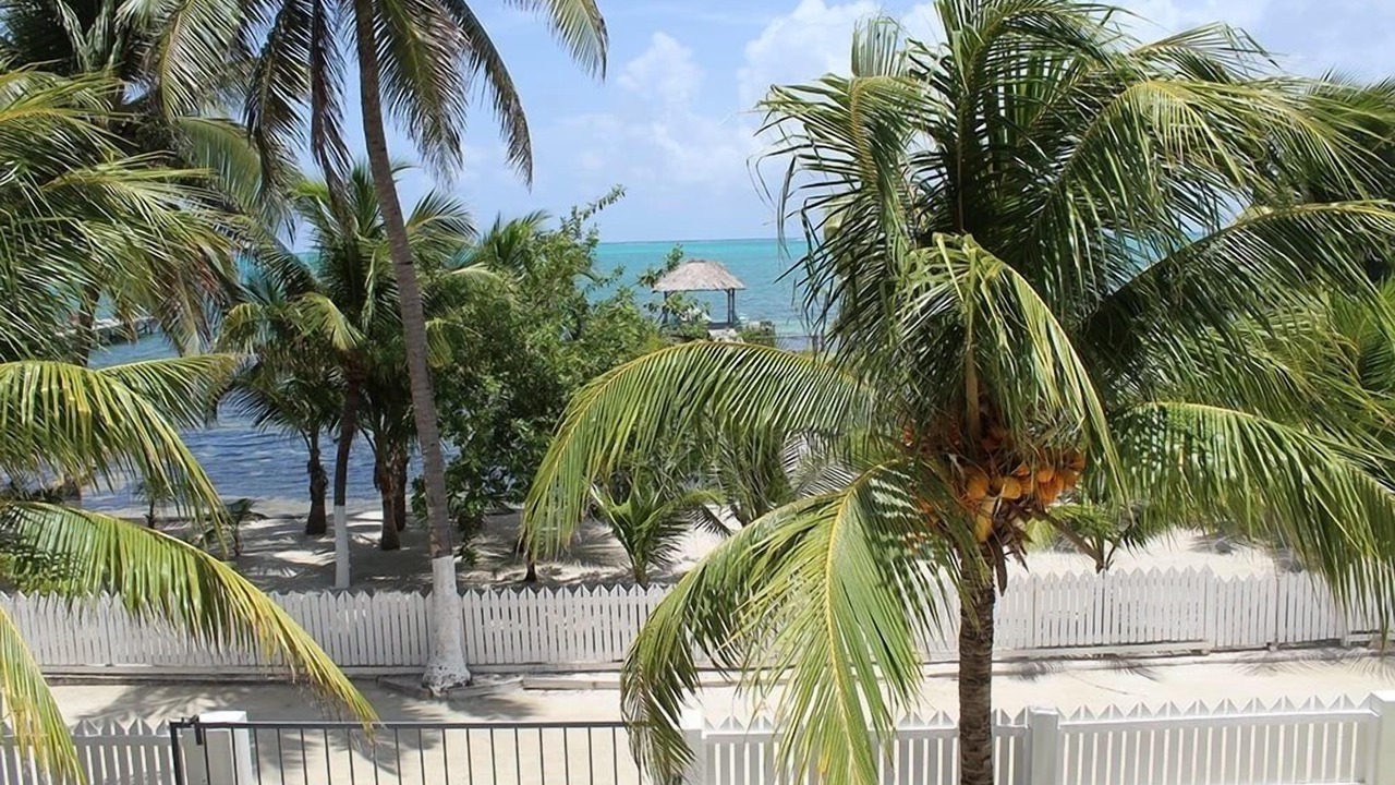Photo of Outdoor in Caye Caulker