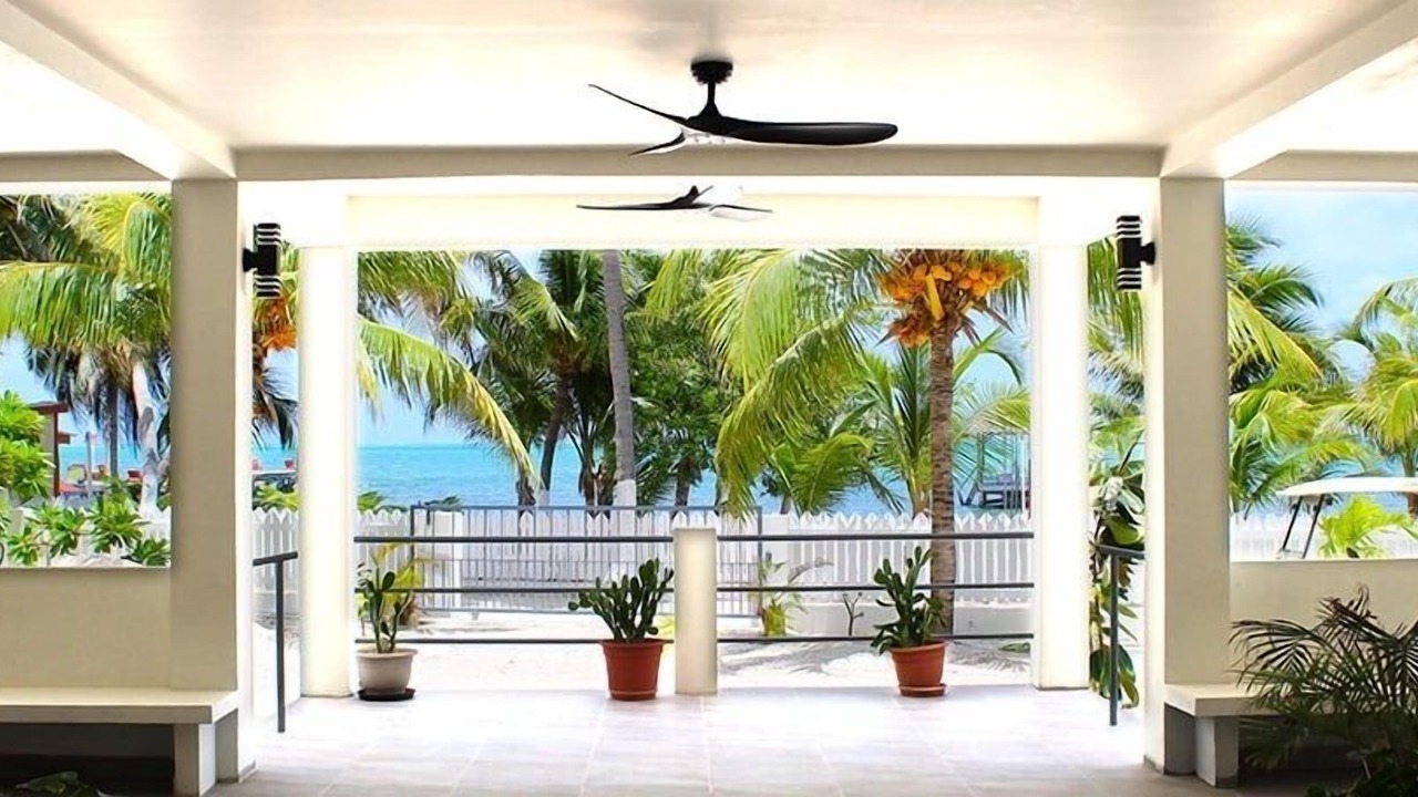 Photo of Others in Caye Caulker