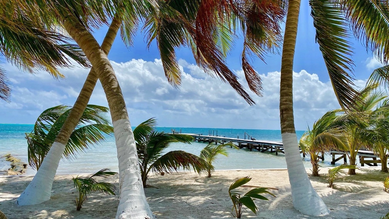 Photo of Others in Caye Caulker