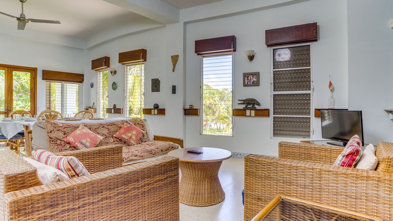 Photo of Livingroom in Placencia