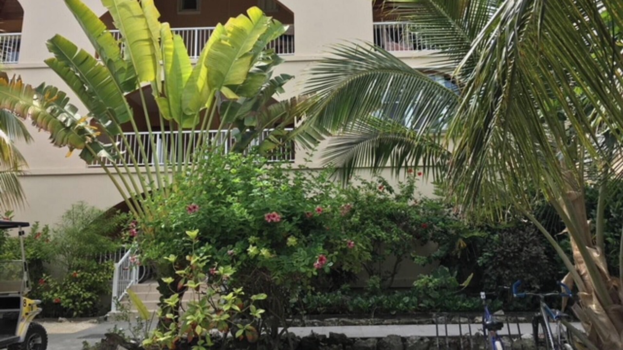 Photo of Outdoor in San Pedro