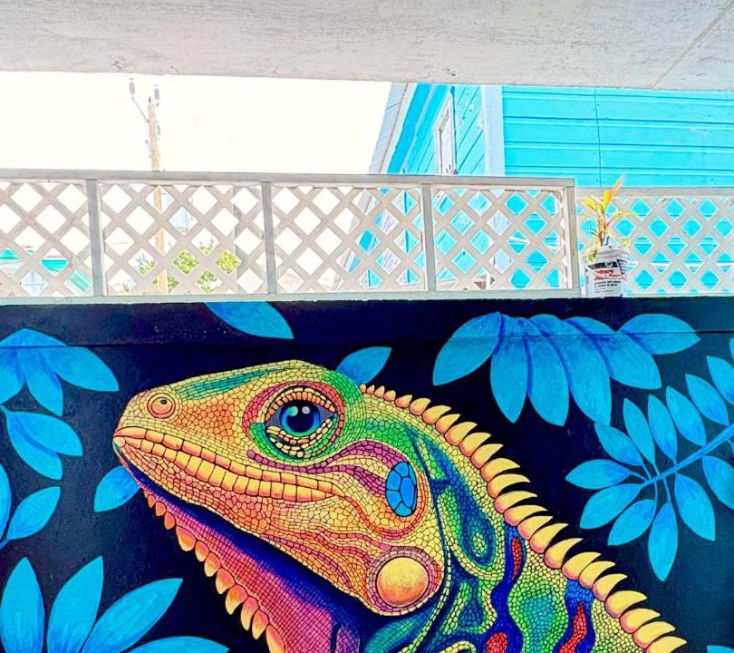 Photo of Others in San Pedro