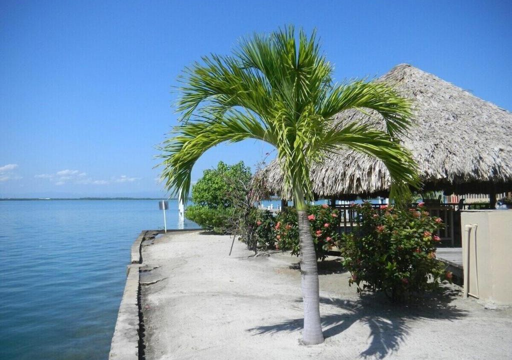 Photo of Others in Placencia