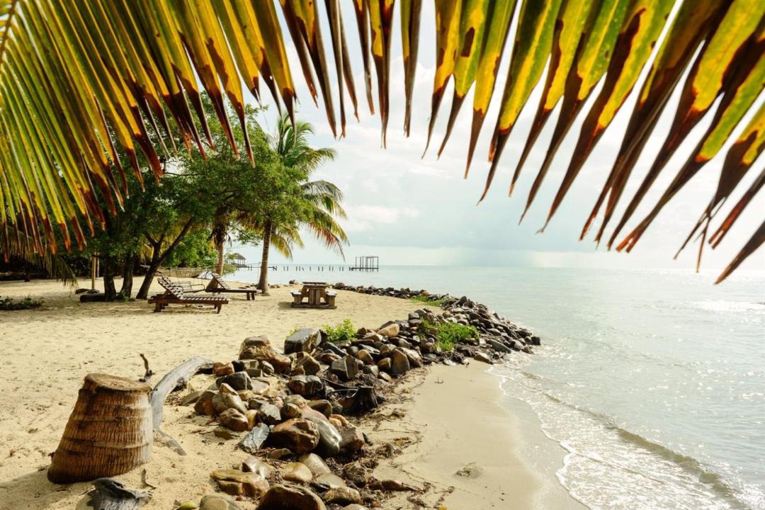 Photo of Others in Caribbean Way