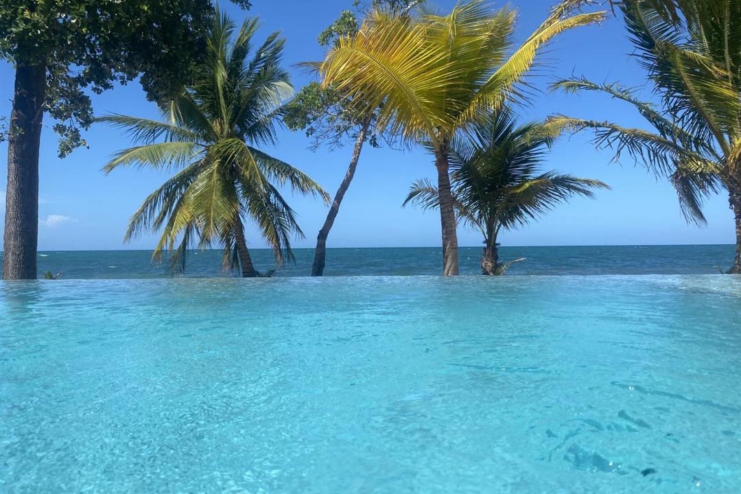 Photo of Others in Placencia