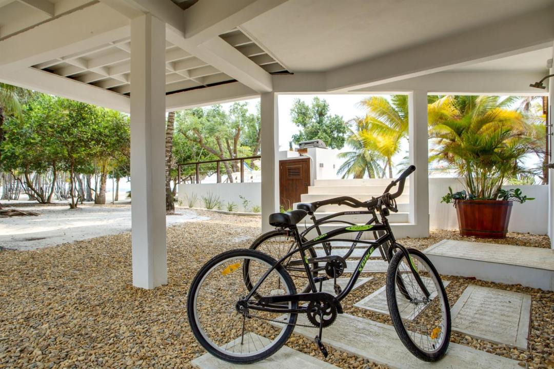 Photo of Others in Placencia