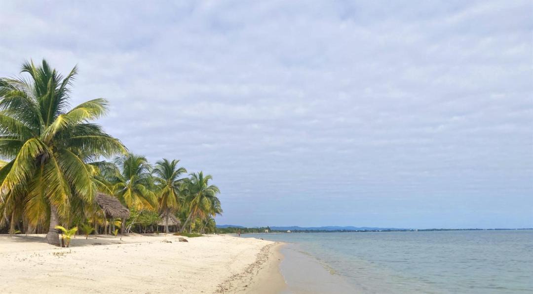Photo of Others in Placencia