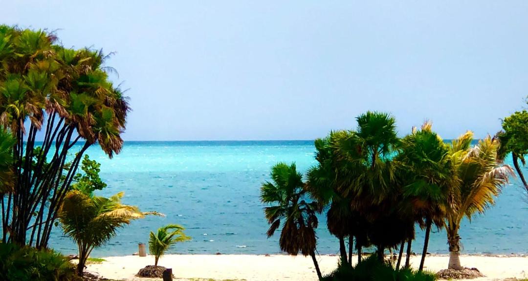 Photo of Others in Placencia