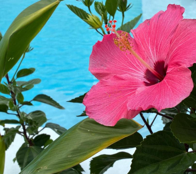Photo of Others in Caye Caulker
