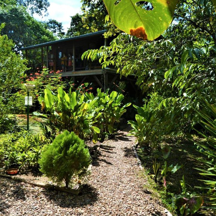 Photo of Others in San Ignacio
