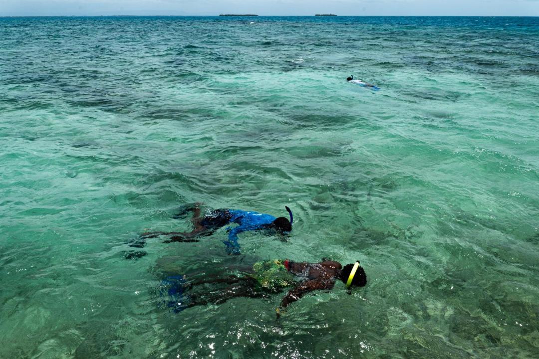 Photo of Others in Gales Point