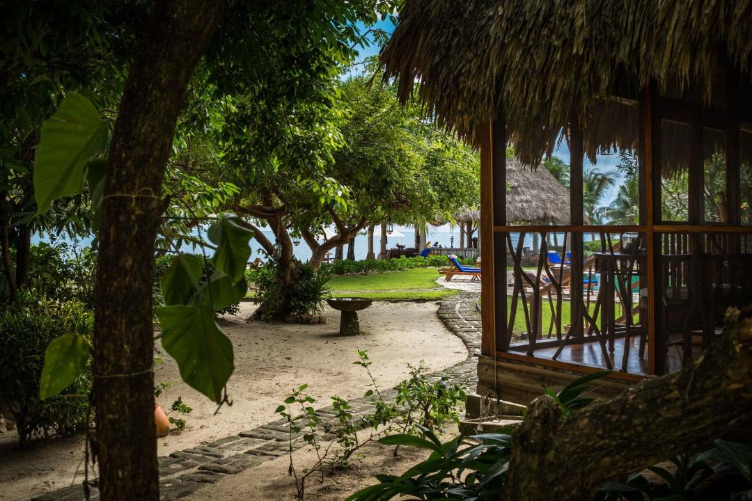 Photo of Others in Placencia