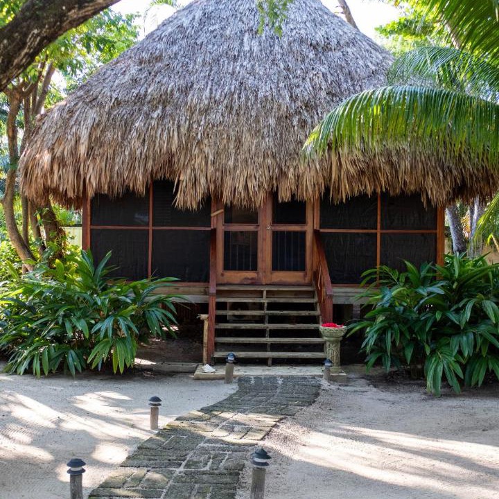 Photo of Others in Placencia