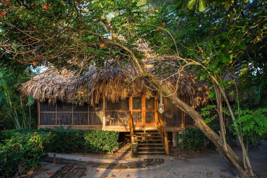 Photo of Others in Placencia