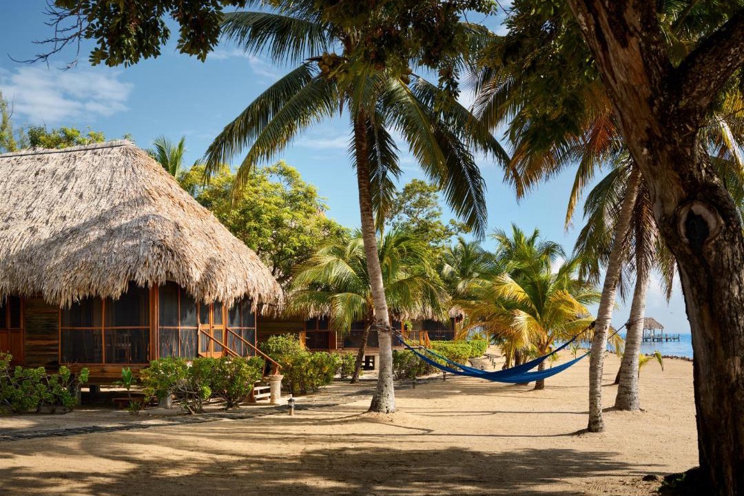 Photo of Others in Placencia