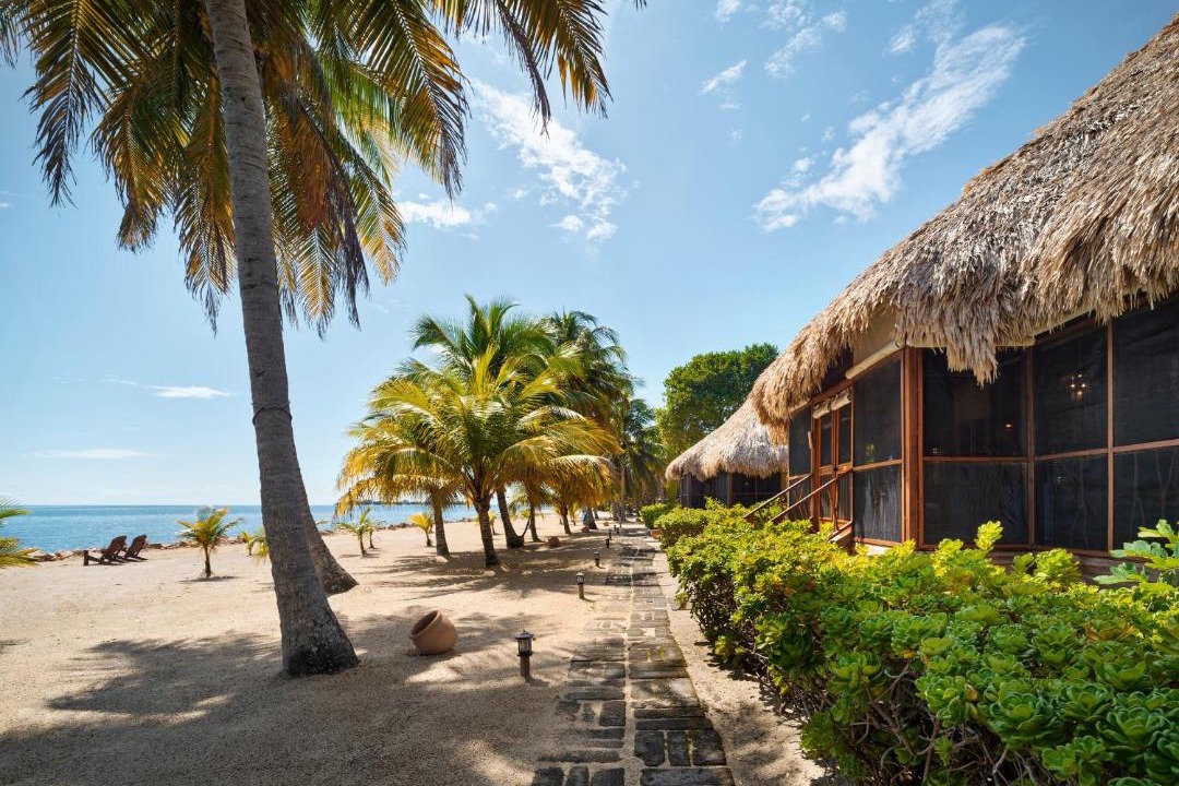 Photo of Others in Placencia