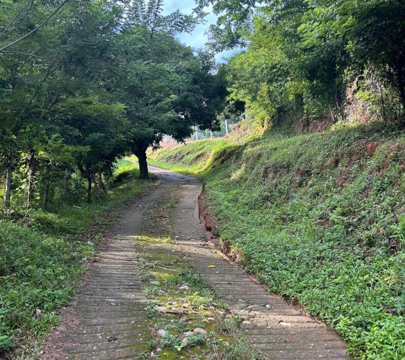 Photo of Outdoor in Corozal