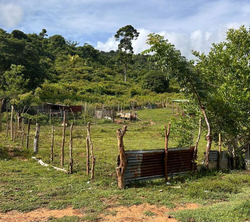 Photo of Others in Corozal