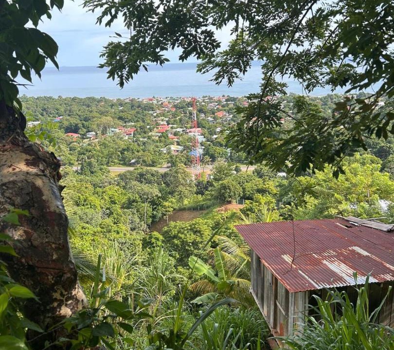 Photo of Others in Corozal