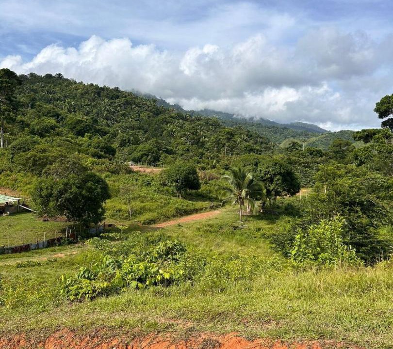 Photo of Others in Corozal