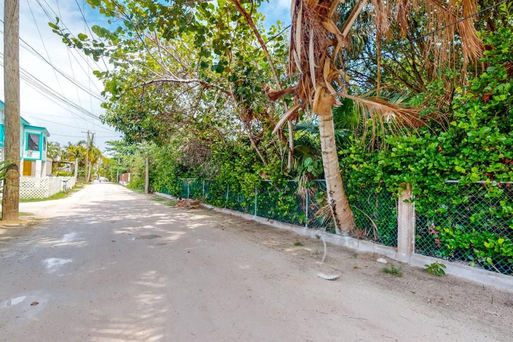 Photo of Others in Caye Caulker