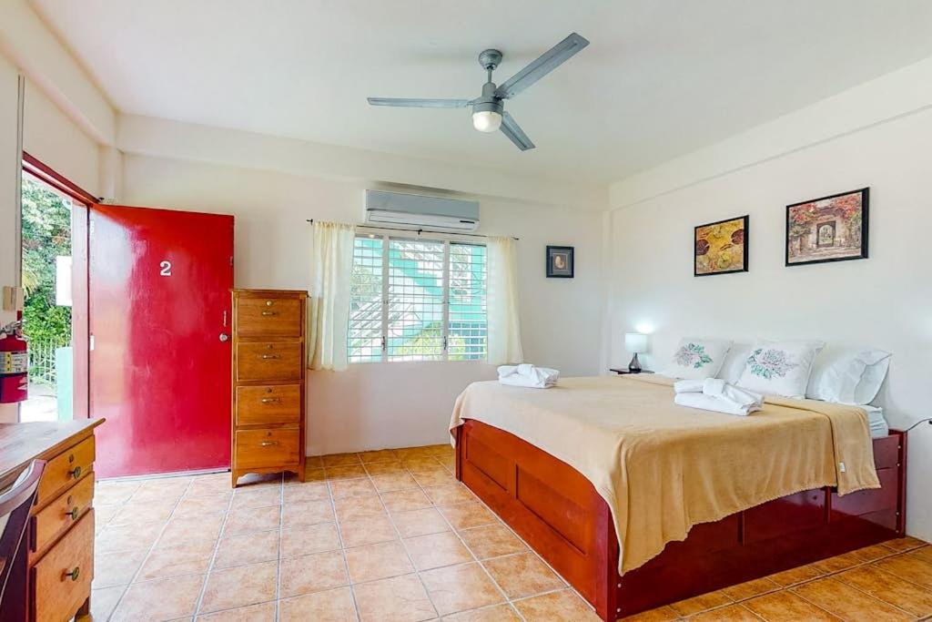 Photo of Others in Caye Caulker