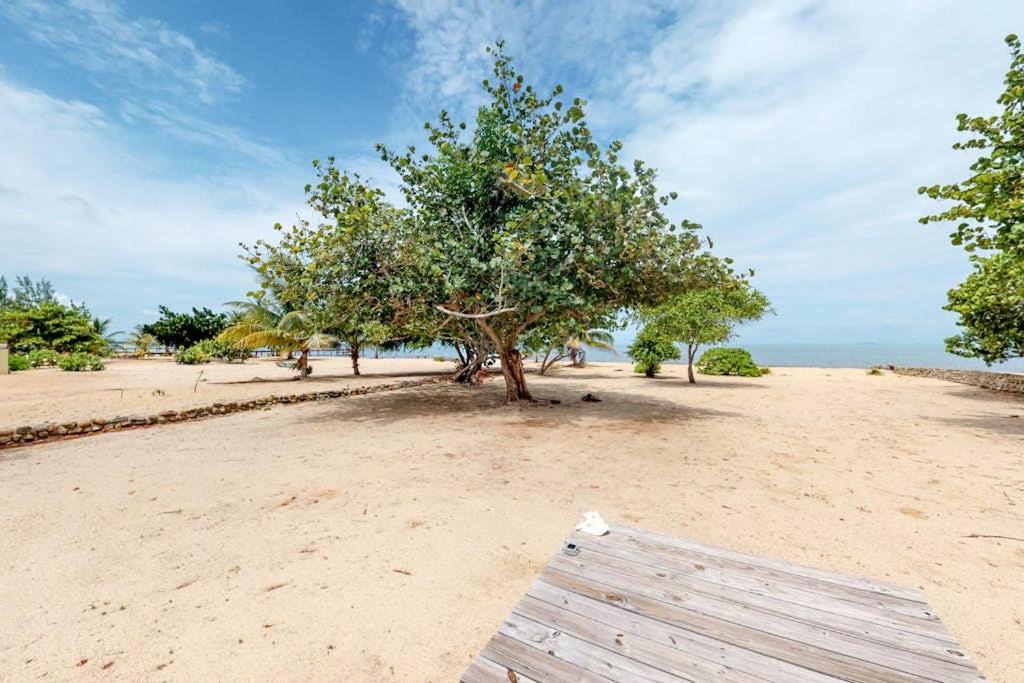 Photo of Others in Caribbean Way