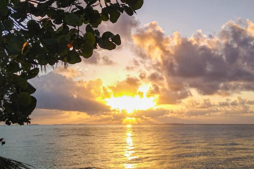 Photo of Others in Caribbean Way