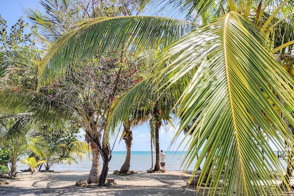Photo of Others in Caribbean Way