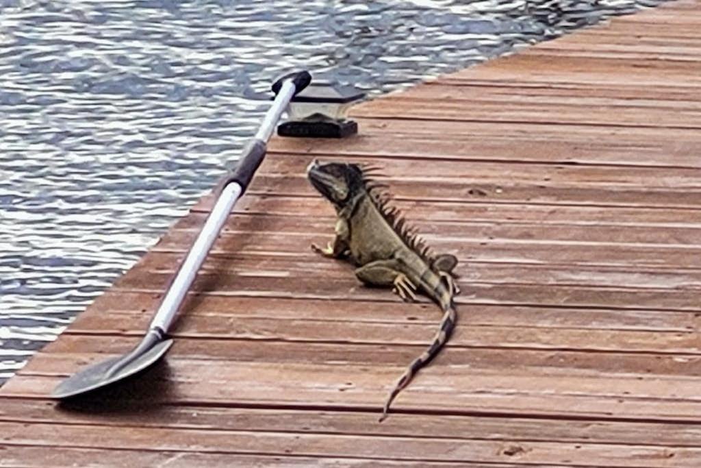 Photo of Others in Caribbean Way