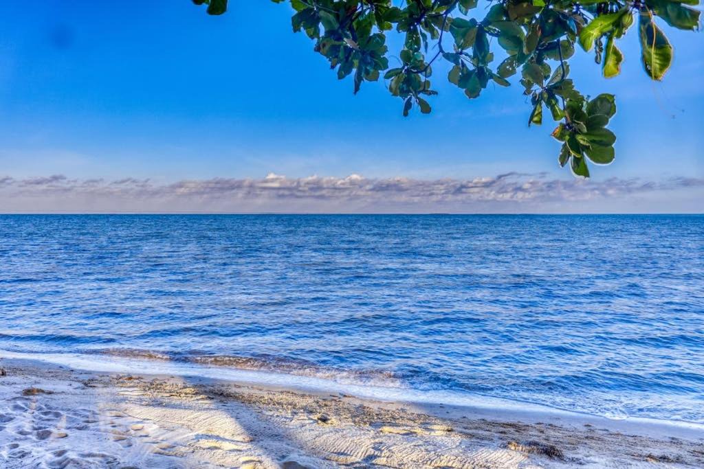 Photo of Others in Caribbean Way