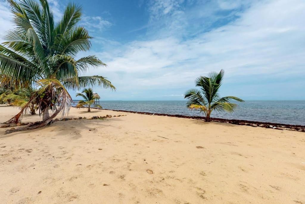 Photo of Others in Caribbean Way