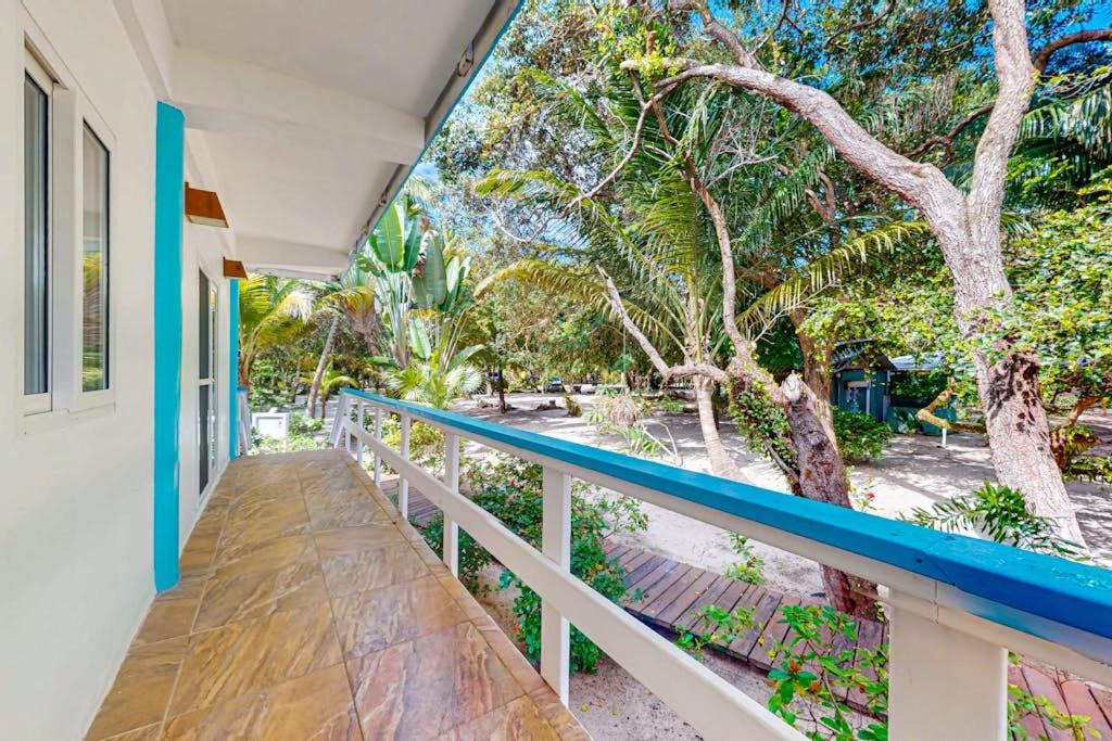 Photo of Others in Placencia