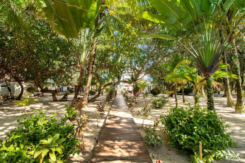 Photo of Others in Placencia