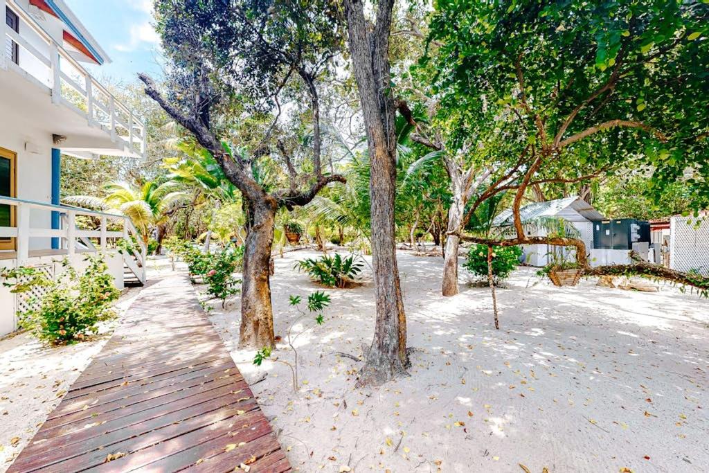 Photo of Others in Placencia