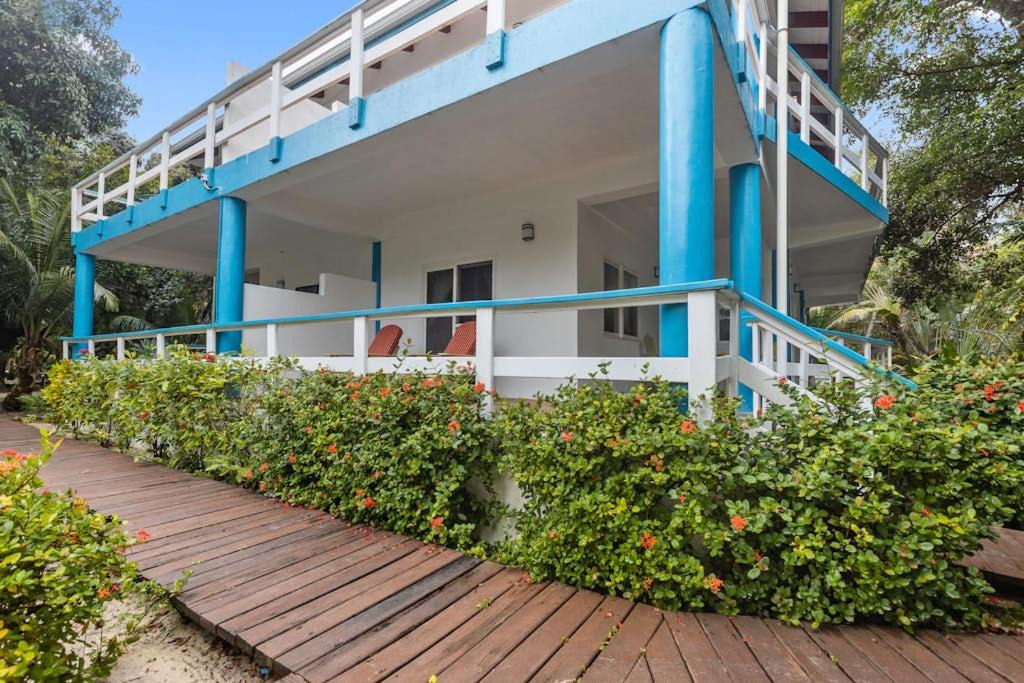 Photo of Others in Placencia