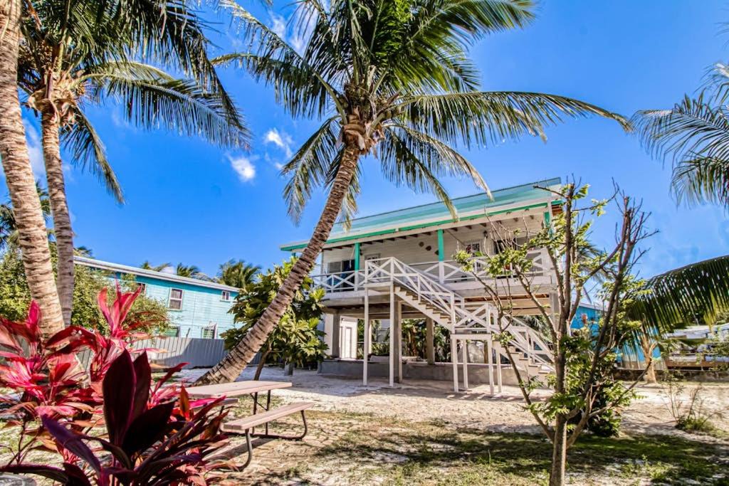 Photo of Others in Caye Caulker