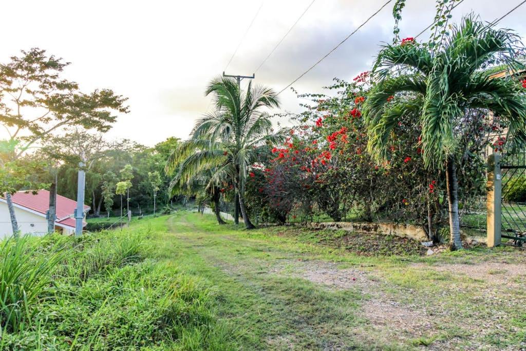 Photo of Others in San Ignacio