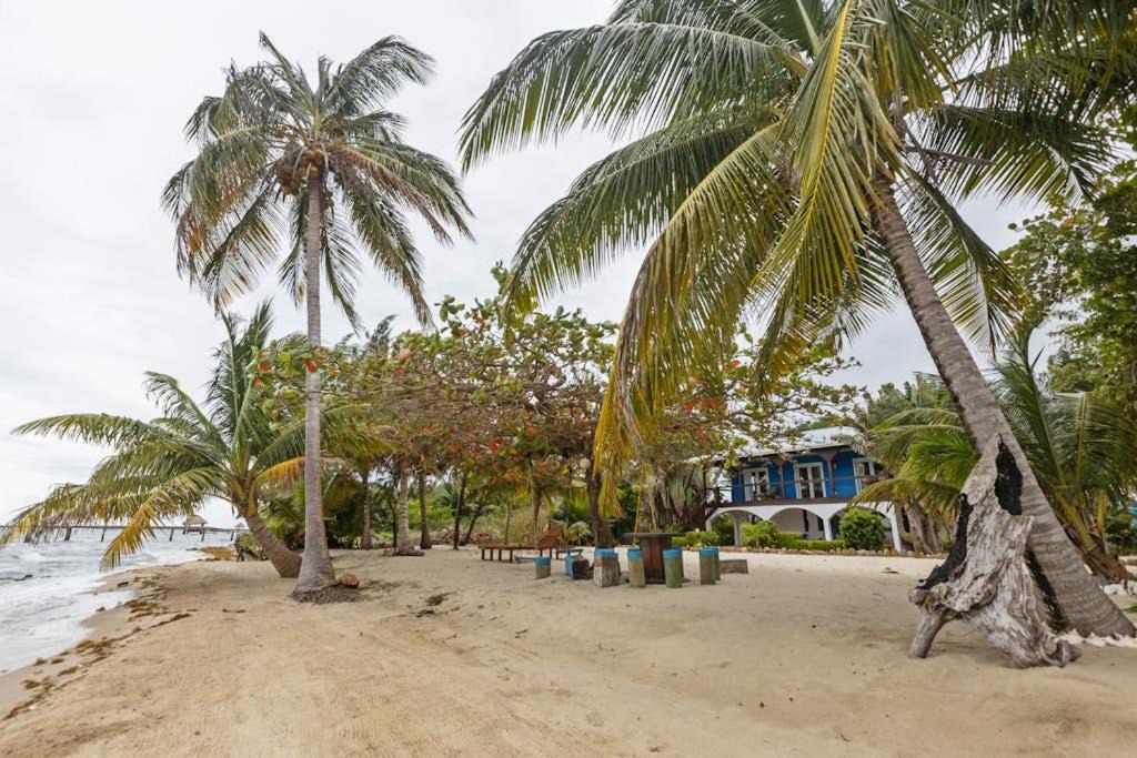 Photo of Others in Caribbean Way