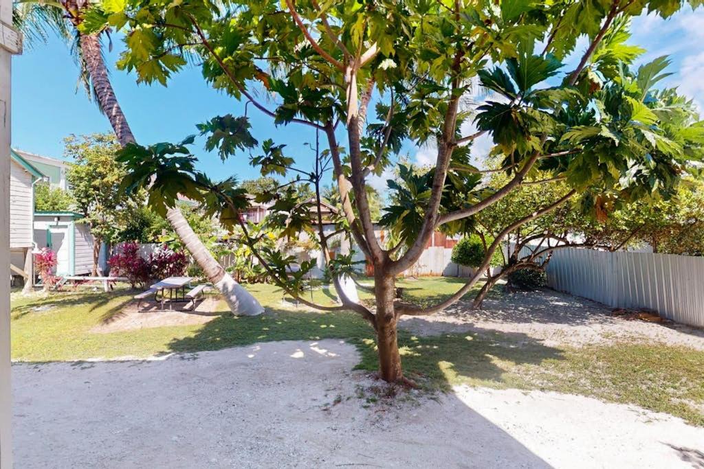Photo of Others in Caye Caulker