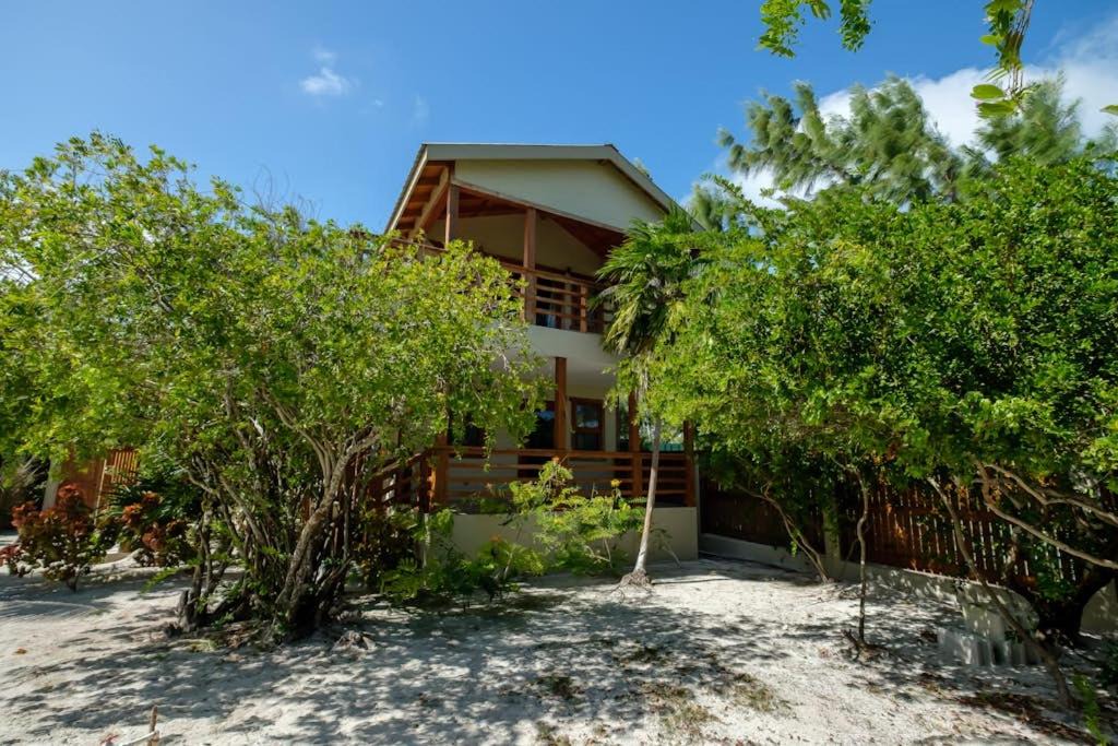 Photo of Others in Caye Caulker