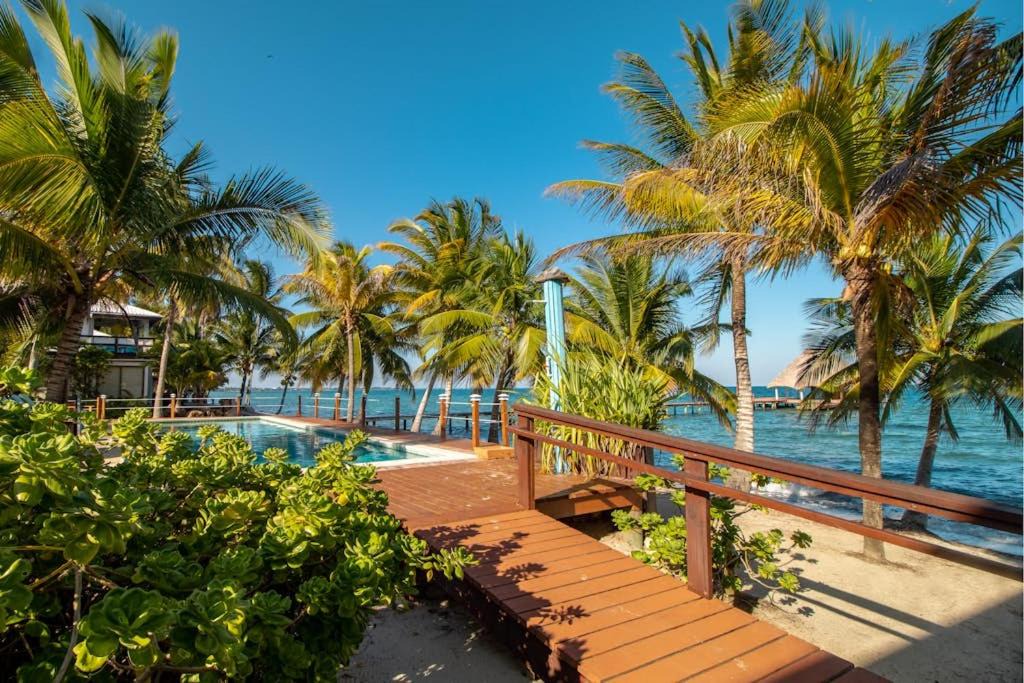 Photo of Others in Placencia