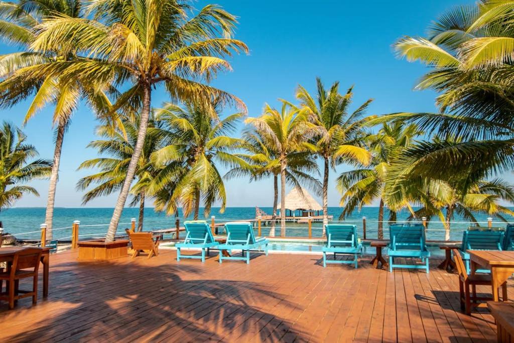 Photo of Others in Placencia