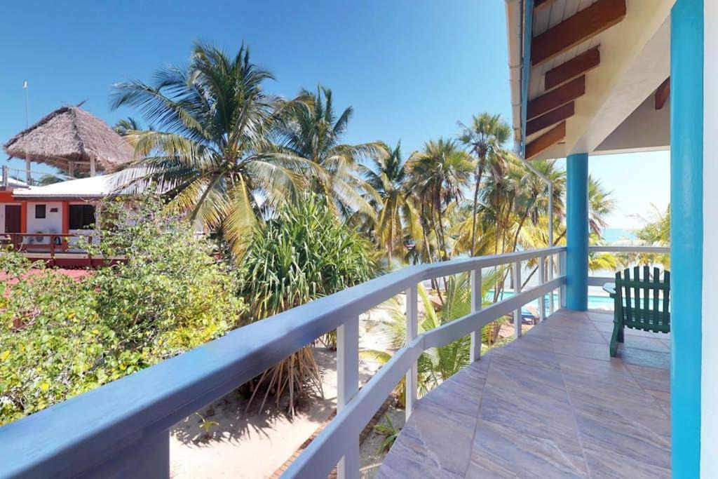 Photo of Others in Placencia