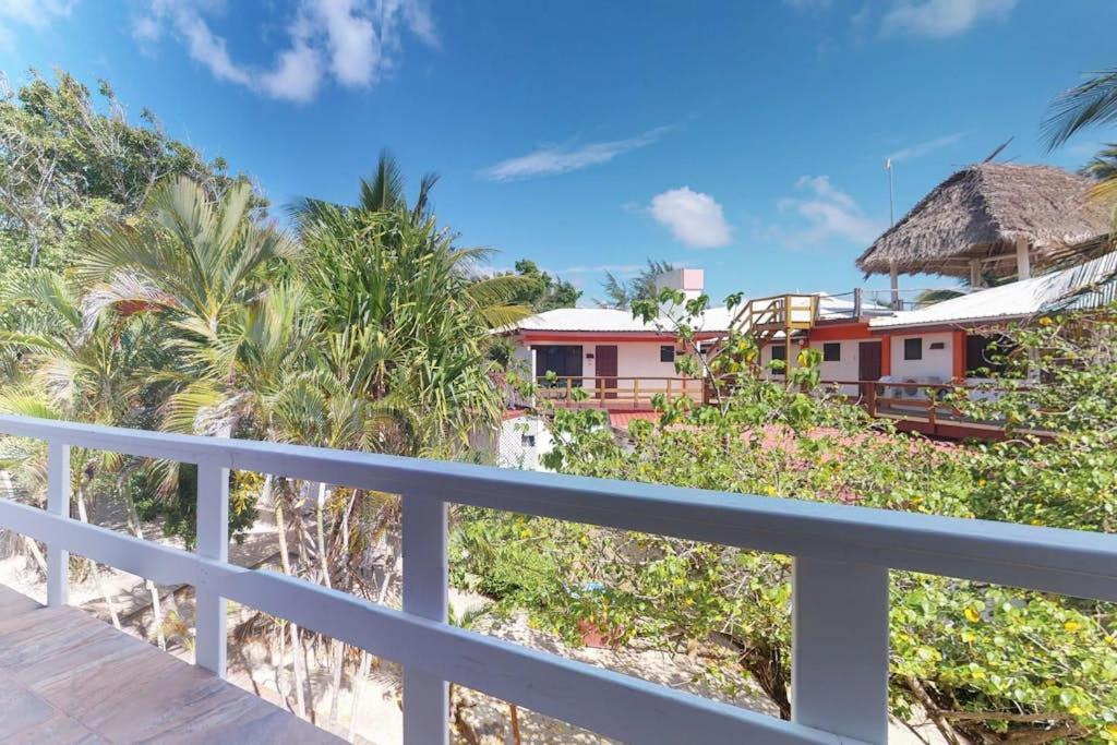 Photo of Others in Placencia